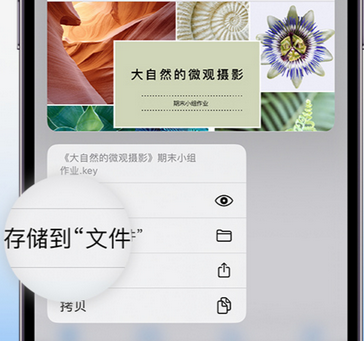 兴隆apple维修中心分享iPhone文件应用中存储和找到下载文件