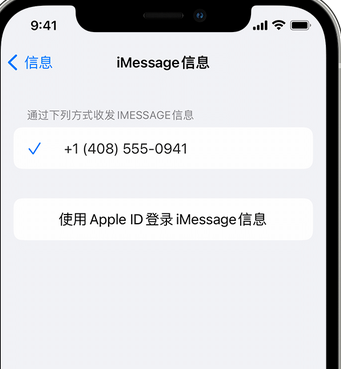 兴隆apple维修iPhone上无法正常发送iMessage信息 