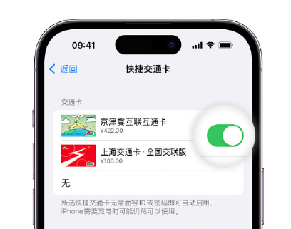 兴隆apple维修点分享iPhone上更换Apple Pay快捷交通卡手绘卡面 