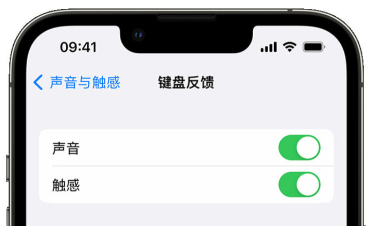 兴隆苹果手机维修分享iPhone 14触感键盘使用方法 