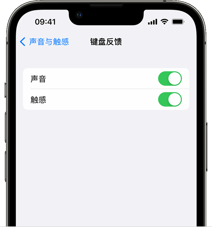 兴隆苹果14维修店分享如何在 iPhone 14 机型中使用触感键盘 