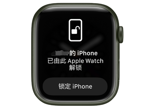 兴隆苹果手机维修分享用 AppleWatch 解锁配备面容 ID 的 iPhone方法 