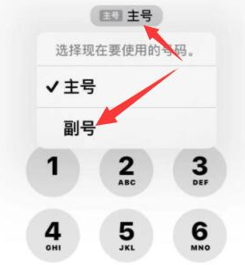 兴隆苹果14维修店分享iPhone 14 Pro Max使用副卡打电话的方法 