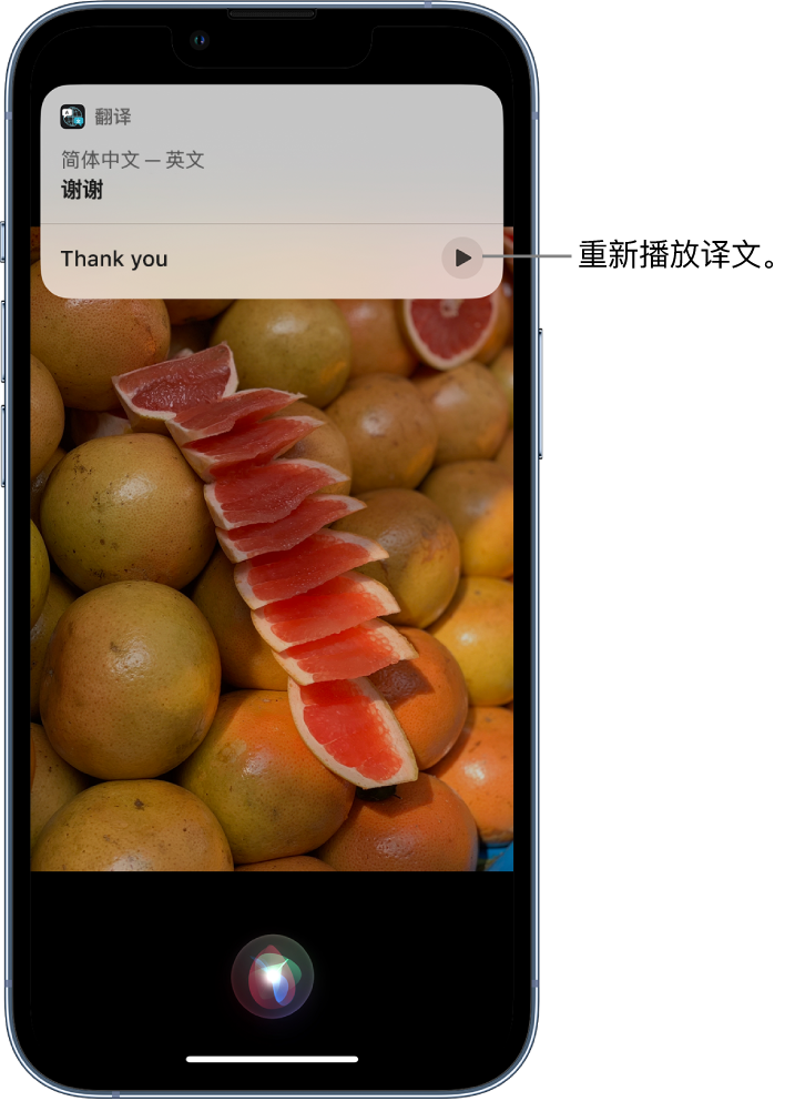 兴隆苹果14维修分享 iPhone 14 机型中使用 Siri：了解 Siri 能帮你做什么 