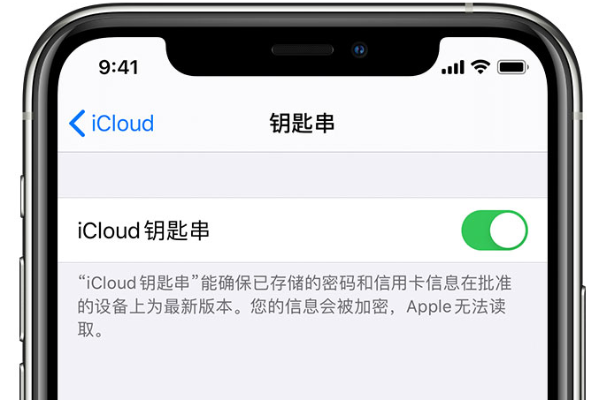 兴隆苹果手机维修分享在 iPhone 上开启 iCloud 钥匙串之后会储存哪些信息 