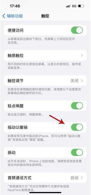 兴隆苹果手机维修分享iPhone手机如何设置摇一摇删除文字 