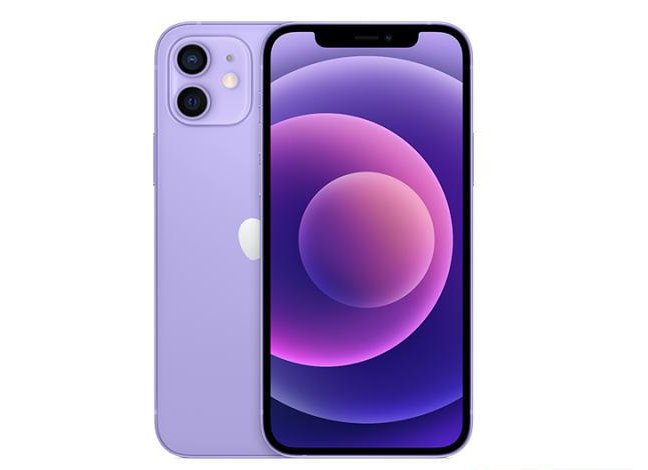 兴隆苹果手机维修分享现阶段要不要入手紫色版iPhone12 