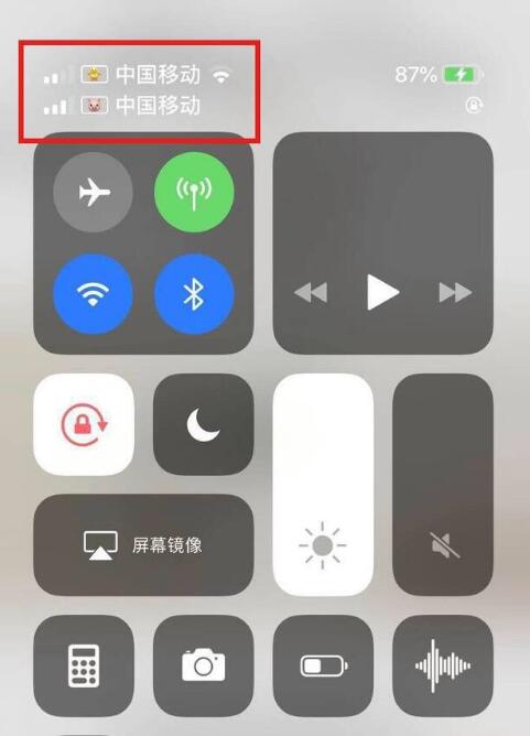 兴隆苹果手机维修分享为 iPhone 12 双卡设置标签 