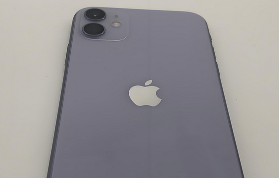 兴隆苹果11系统维修分享iPhone11手机系统崩溃无法开机如何解决