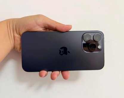 兴隆苹果维修点分享iPhone 14 Pro Max发烫多重诱因剖析 